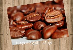 فوائد القهوة العربية للمعدة والجسم