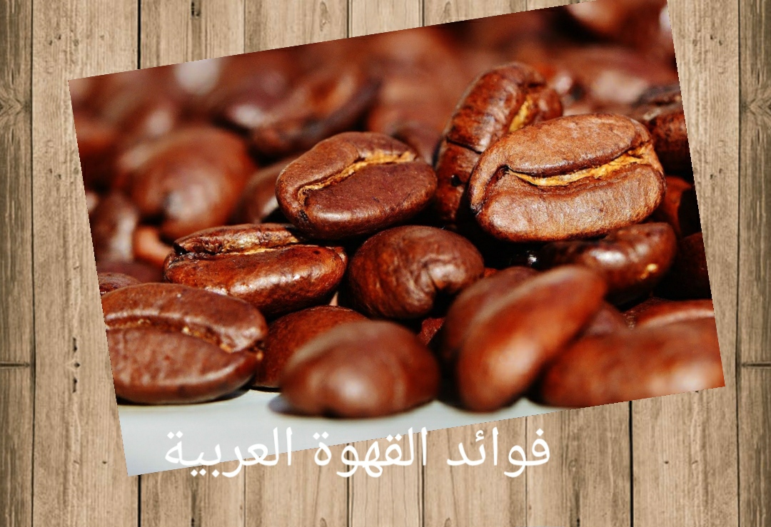 فوائد القهوة العربية للمعدة والجسم - غربيات